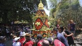 Saat panen pada musim kemarau tiba sejumlah masyarakat menggelar prosesi sedekah bumi. (ANTARA FOTO/Moch Asim).