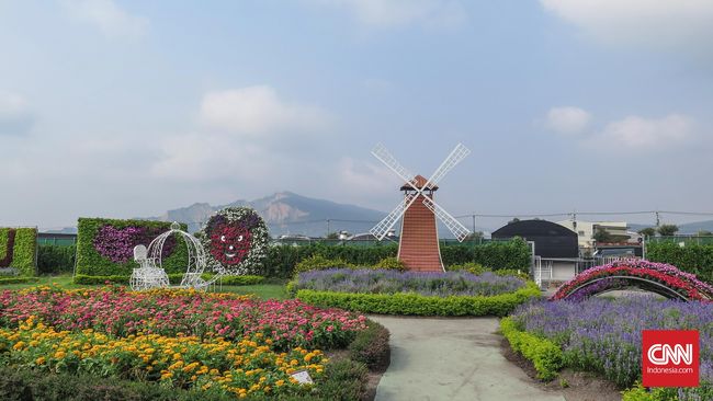 Chung She Flower Garden Taman Bunga Fotogenik Di Taiwan