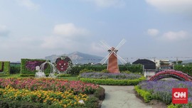 Chung She Flower Garden, Taman Bunga Fotogenik di Taiwan