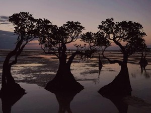 Bali dan Sumba Bikin Bangga, Masuk Daftar Pulau Terbaik Asia Pasifik 2024