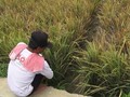 Masalah Penguasaan Lahan Hambat Kesejahteraan Petani