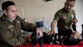 Tak cuma itu, anjing betina yang akan melahirkan juga mendapatkan perawatan spesial di Sekolah Anjing Kepolisian Chili. (Photo by Martin BERNETTI/AFP)
