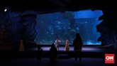 Di Jakarta Aquarium pengunjung juga bisa melihat pertunjukan memberi makan ikan.