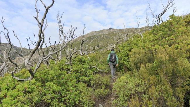 7 Cara Menerapkan Wisata Ramah Lingkungan