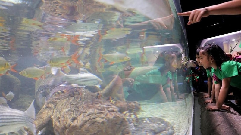 Jakarta Aquarium memiliki 12 zona yang menjadi tempat tinggal bagi sekitar 600 jenis spesies, mulai dari mamalia, ikan, reptil, hingga serangga.