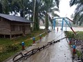 VIDEO: Jembatan Hancur, Warga Pasaman Barat Terkurung