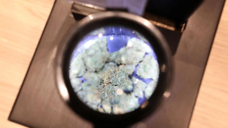 Kanada menjadi negara kedua setelah Uruguay yang melegalkan ganja