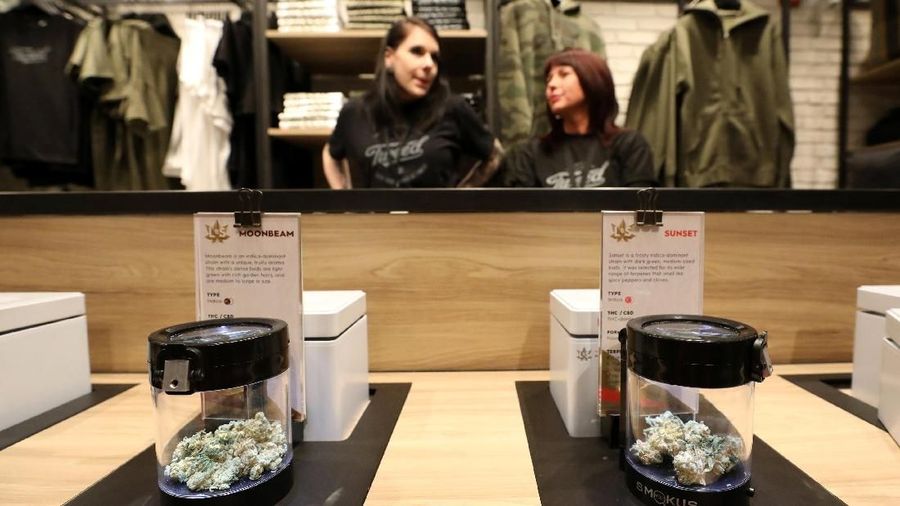 Mexico mempertimbangkan untuk melegalkan ganja seperti kanada