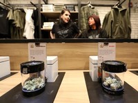 Susul Kanada, Mexico Segera Legalkan Ganja?
