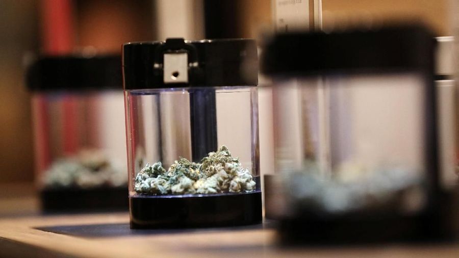 Kanada menjadi negara kedua setelah Uruguay yang melegalkan ganja