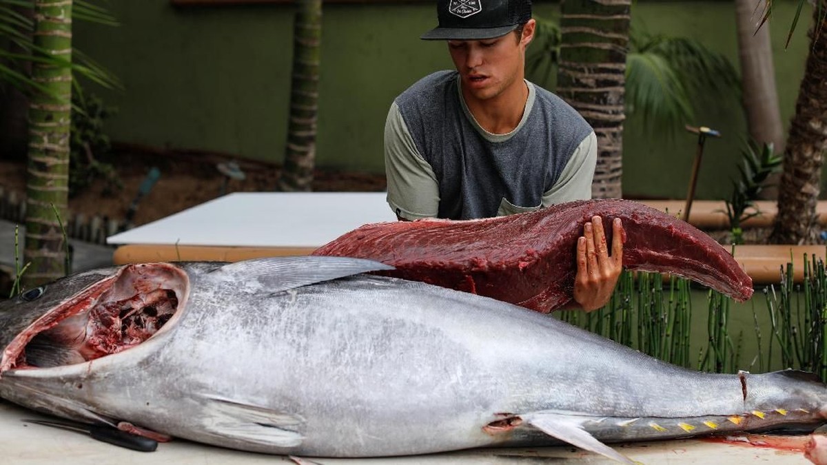 Peneliti Temukan 1.600 Cacing di Ikan Ini, Banyak Dikonsumsi Warga RI