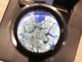 Thailand Batalkan Pengajuan Paten Ganja Pihak Asing