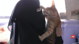 Candu Elfi Selamatkan Kucing Terlantar