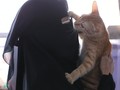 Candu Elfi Selamatkan Kucing Terlantar