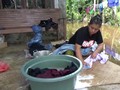 VIDEO: Aceh Barat Krisis Air Bersih karena Banjir
