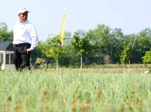 RI Pernah Swasembada Beras 2017-2019, Kenapa Sekarang Impor Lagi?