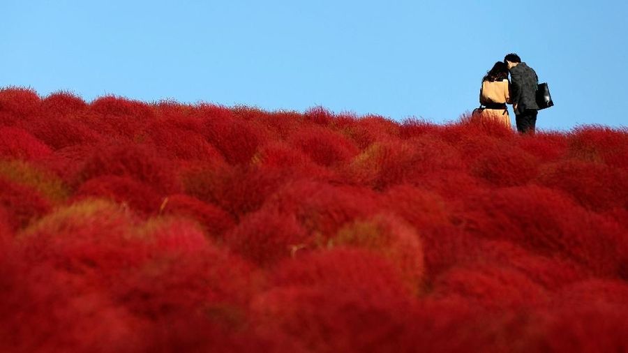 Wisatawan dapat melihat kontrasnya warna merah bukit dan biru langit.
