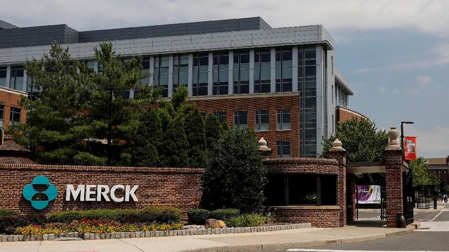 PT Merck Tbk (MERK) membidik pasar ekspor produk biofarma ke negara di kawasan Asia Pasifik di luar Jepang, China dan India.