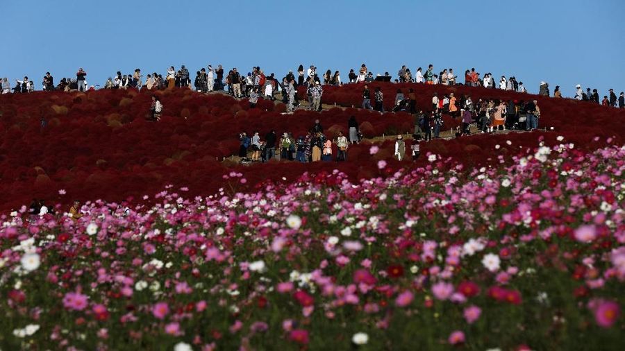 Wisatawan dapat melihat kontrasnya warna merah bukit dan biru langit.