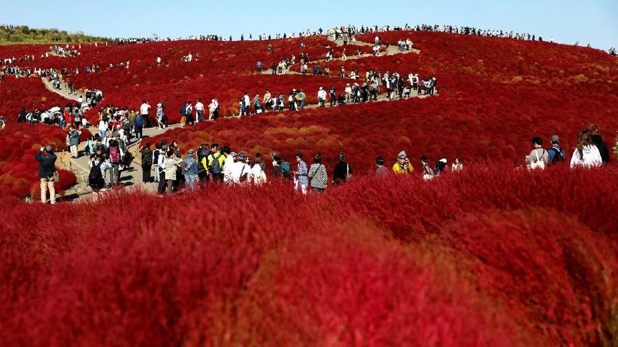 Wisatawan dapat melihat kontrasnya warna merah bukit dan biru langit.