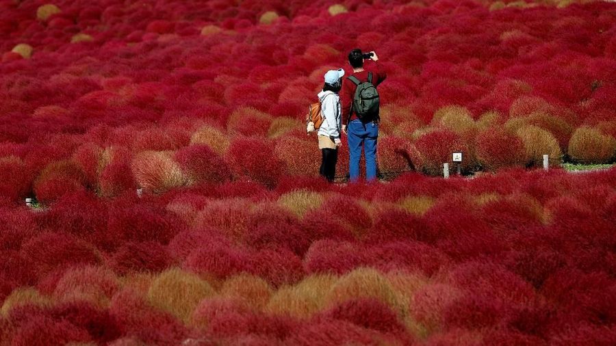 Wisatawan dapat melihat kontrasnya warna merah bukit dan biru langit.