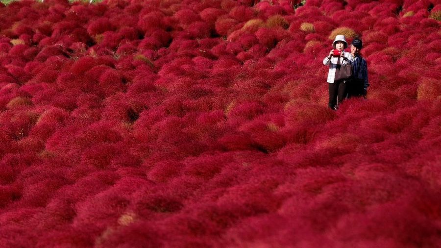 Wisatawan dapat melihat kontrasnya warna merah bukit dan biru langit.