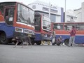 VIDEO: Akhir Cerita Bersama Metromini