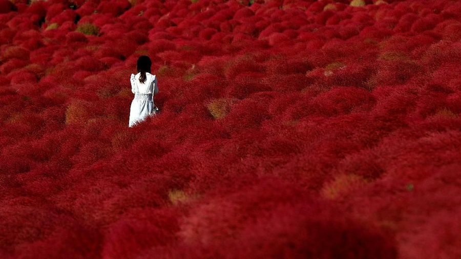 Wisatawan dapat melihat kontrasnya warna merah bukit dan biru langit.
