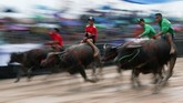Sejumlah joki telah melakukan karapan ini selama beratahun-tahun, seperti Anan yang telah menjadi joki selama 45 tahun. (REUTERS/Athit Perawongmetha)