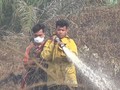 VIDEO: Dua Hektare Lahan Gambut di Aceh Barat Dilalap Api