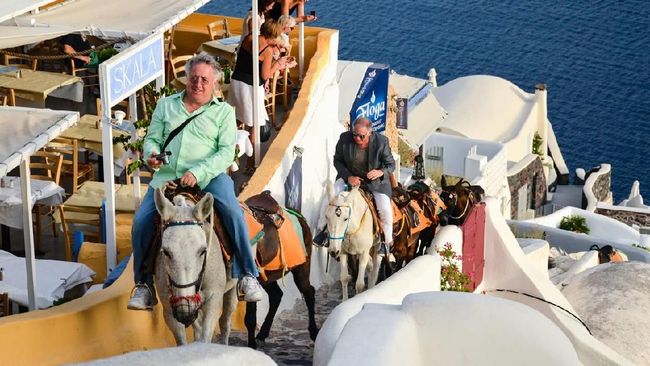 Ditunggangi Turis Obesitas, Keledai Santorini Sakit Punggung