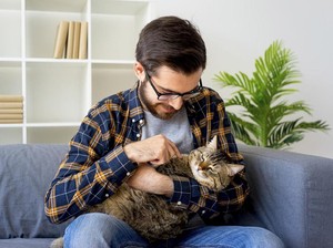 Viral Curhat Pria Diputusin karena Pacar Cemburu dengan Kucing