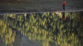Menjelang musim gugur, pepohonan yang tumbuh di sekitar danau bakal berubah warna menjadi kekuningan, sehingga pemandangan di sana bak lukisan Monet.