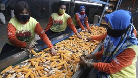 Pengusaha Pakan Ternak Keluhkan Harga Jagung Masih Tinggi