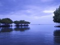 Bali Jadi Destinasi Wisata Favorit Para Pekerja Digital