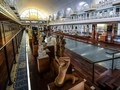 Museum 'Kolam Renang' di Perancis Kembali Dibuka