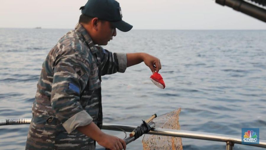 Kecelakaan pesawat Boeing 737 Max 8 yang dioperasikan Lion Air di Indonesia berdampak terhadap sektor penerbangan di India.