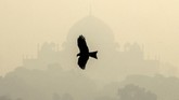 Pembakaran tanaman, polusi udara kendaraan, dan penurunan kecepatan angin disebut sebagai faktor utama polusi di New Delhi. (REUTERS/Anushree Fadnavis)