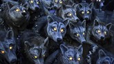 Rombongan serigala yang kerasukan arwah jahat, menjadi salah satu peserta parade Halloween di Galway, Irlandia. (REUTERS/Clodagh Kilcoyne)