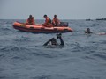 BPPT Turunkan 'Pengendus' Sinyal Kotak Hitam Lion Air JT-610