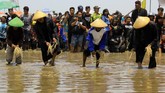 Petani menaburkan bibit padi di sawah sebagai tahapan ritual adat Kebo-keboan di Alasmalang, Banyuwangi. (ANTARA FOTO/Budi Candra)