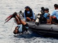 Tim Penyelam Kembali Cari Black Box Berisi Percakapan Pilot