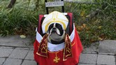 Seekor anjing terlihat mengenakan jubah dalam acara tahunan parade Halloween untuk anjing, di Tompkins Square, New York, Amerika Serikat. (AFP/ TIMOTHY A. CLARY)