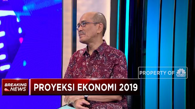 Ini Dia Proyeksi Ekonomi 2019 dari Faisal Basri