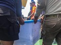 Benda Diduga Kotak Hitam Lion Air JT-610 Sudah Diamankan
