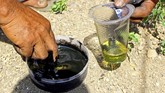 Pemeran Kebo-keboan meracik minyak dan cat untuk menghitamkan tubuh mereka. (ANTARA FOTO/Budi Candra)
