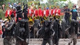 Kebo-keboan berada di dalam kubangan saat ritual di Alasmalang, Banyuwangi, Jawa Timur. (ANTARA FOTO/Budi Candra)