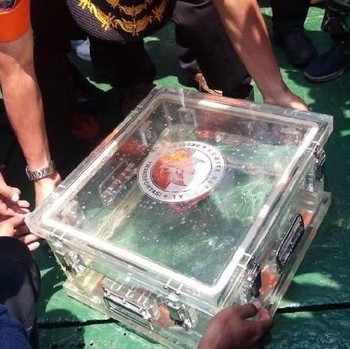 Black Box Lion Air Akhirnya Ditemukan, Ini Bentuknya