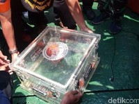 Bulan Ini, KNKT Rilis Hasil Analisis Black Box Lion JT-610