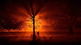 Seorang pria dengan obor berjalan menelusuri taman membelah malam di Athboy, Irlandia. (Reuters/Clodagh Kilcoyne)